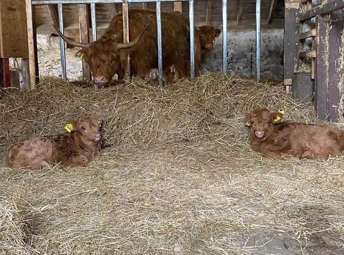 Berghof Schmitte 温特贝格